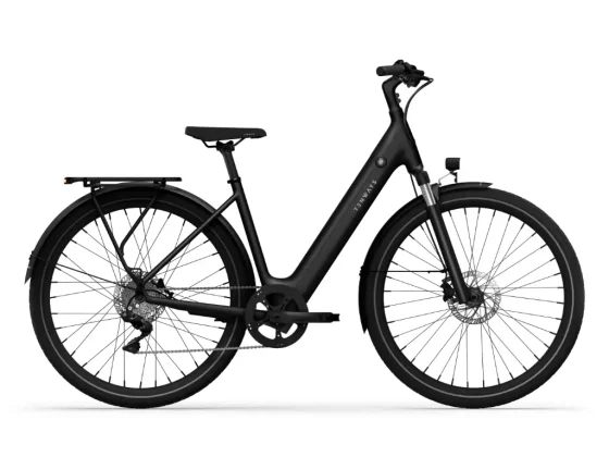 CGO800 Plus Ebike